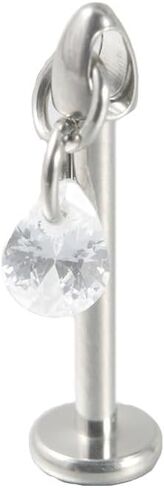 16G CZ Cartilage Studs Earrings Flat Back for Women Girls 316L Stainless Steel Sparkling Heart Star Dolphin Teardrop Diamond Dangle Studs Body Piercing Jewelry in Saudi Arabia