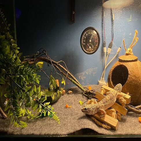 MUYG 5PCS Coconut Hut for Gecko, Lizard Coco Den with Ladder and Reptile Hammock Bearded Dragon Tank Accessories Climbing Hanging Plants Jungle Vine Flexible Reptile Leaves Decor in Saudi Arabia