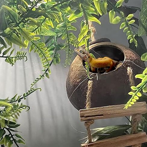MUYG 5PCS Coconut Hut for Gecko, Lizard Coco Den with Ladder and Reptile Hammock Bearded Dragon Tank Accessories Climbing Hanging Plants Jungle Vine Flexible Reptile Leaves Decor in Saudi Arabia