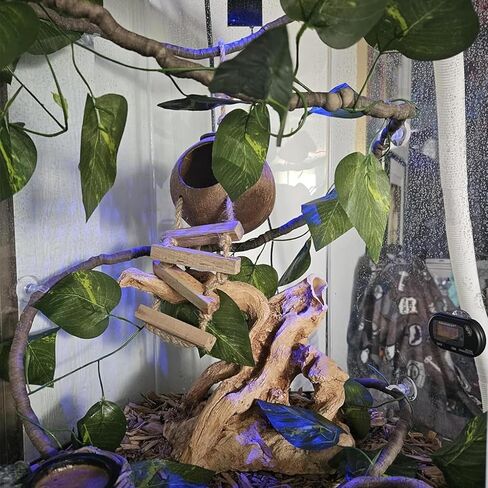 MUYG 5PCS Coconut Hut for Gecko, Lizard Coco Den with Ladder and Reptile Hammock Bearded Dragon Tank Accessories Climbing Hanging Plants Jungle Vine Flexible Reptile Leaves Decor in Saudi Arabia