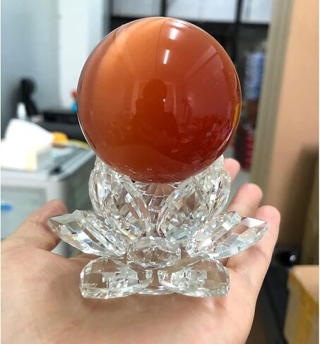 حامل زهرة اللوتس الكريستالي ذو اللون الشفاف، قاعدة زجاجية على شكل لوتس، ثقالة الورق، مجموعات ديكور فنغ شوي 8 × 4.5 سم (الكرة غير متضمنة) in Kuwait