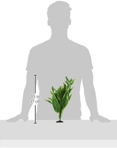 Marina Naturals، نبات حرير دراسينا الأحمر/الأصفر، ديكور حوض السمك المتوسط، PP106 in Saudi Arabia