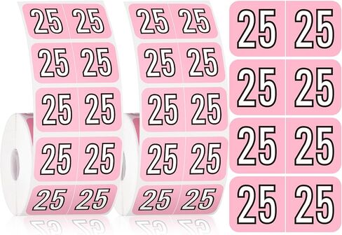 Teling 1000 Pieces 2025 Year Stickers File Folder Year Labels Rectangle Coded Colored Year Stickers Self Adhesive Year Label End Labels Office Supplies, 2 Roll, 3/4" x 1-1/2"(Pink) in Saudi Arabia
