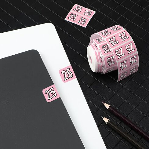 Teling 1000 Pieces 2025 Year Stickers File Folder Year Labels Rectangle Coded Colored Year Stickers Self Adhesive Year Label End Labels Office Supplies, 2 Roll, 3/4" x 1-1/2"(Pink) in Saudi Arabia
