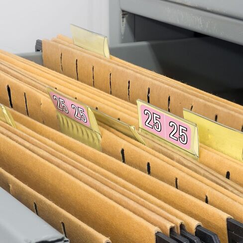 Teling 1000 Pieces 2025 Year Stickers File Folder Year Labels Rectangle Coded Colored Year Stickers Self Adhesive Year Label End Labels Office Supplies, 2 Roll, 3/4" x 1-1/2"(Pink) in Saudi Arabia
