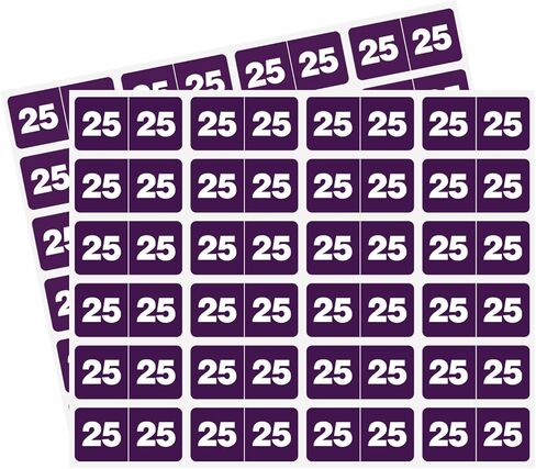 ملصقات 2025 سنة، 3/4 بوصة × 1-1/2 بوصة مستطيلة أرجوانية ملونة ملصقات سنة ذاتية اللصق لمجلدات الملفات، لمجلدات ملفات علامة التبويب النهائية، حزمة واحدة من 480 ملصقًا in Saudi Arabia