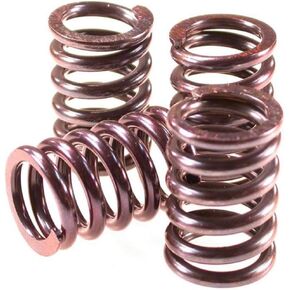 Barnett Clutch Spring Set 501-75-04005