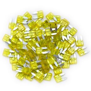 75 Pcs 10Amp Mini Fuse, 10 A Mini Car Blade Automotive Fuses for Car RV Truck SUV Motorcycle Boat