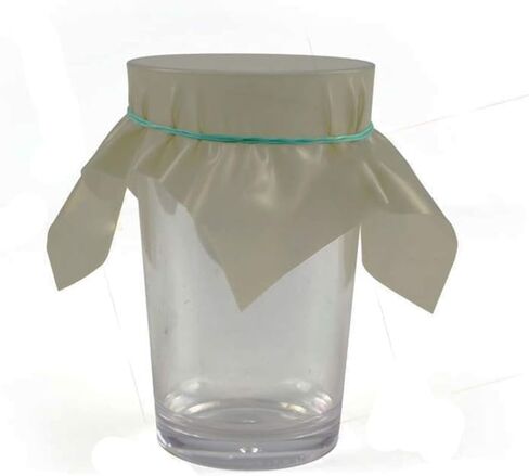 JJLFresheners Coin Penetration Dish Coin Thru Rubber Sheet into Cup Magic Props Black Hole Magic Tricks for Magicians Accessories Mentalism Magic Gimmick Illusion in Saudi Arabia