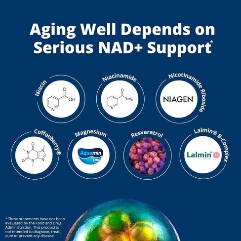 NEUROHACKER COLLECTIVE Qualia NAD+ مكمل نيكوتيناميد ريبوسيد nr، يمكن أن يعزز مستويات NAD+ حتى 50% مع: NR (نيكوتيناميد ريبوسيد من NIAGEN)، النياسين والنياسيناميد - نباتي (56 كبسولة) in Saudi Arabia