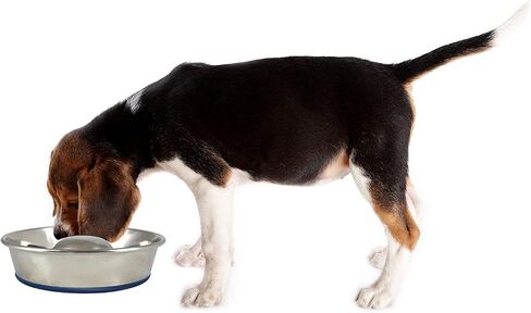 وعاء للكلاب من الفولاذ المقاوم للصدأ ممتاز من OurPets DuraPet Slow Feed، فضي، صغير (2040010300) in Kuwait