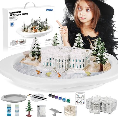 Snow Making Experiment Kits, Snow Making Fun Science Kits for Kids, DIY Educational Painting 3D Snow Scene Science Experiment Kit Snow Making Experiment Scene Painting DIY Model Science Toys-3002 in Saudi Arabia