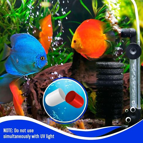 Bio Starter Aquarium Booster Fish Tank Water Cleaner Digester of Excess nutrients Makes Water Healthy Reduces The Amount of Nitrite and Ammonia Reduces The Need for Aquarium Cleaning, 10 caps.,1/4 oz in Saudi Arabia