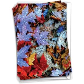 NobleWorks 12 Blank All Occasions Greeting Cards Bulk Box Set with 5 x 7 Inch Envelopes (1 Design, 12 Each) Autumn Leaf - Maple CQ4629AOCB-B12x1