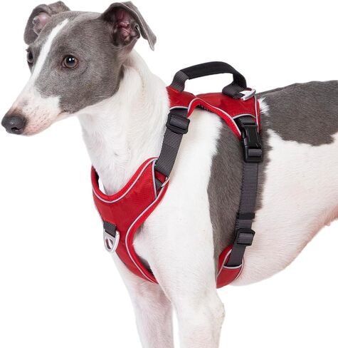 No Pull Dog Harness with Back Control Handle Medium Sized, Reflective Vest, Adjustable and Padded, Easy Walker Front/Back Clips (Purple, Medium) in Saudi Arabia