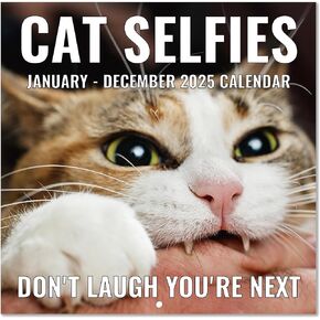 2025 Wall Calendar - Funny Cats Calendar 2025, 12" x 24" (Open), Jan 2025 - Dec 2025, 12-Month Calendar, Lovely Cat Selfies Calendar, Unruled Blocks, Thick Paper, Hanging Hole, Holidays Reminder
