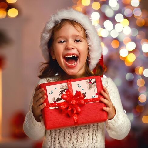 Fibevon Christmas Money Holder for Cash Gifts with Envelopes - 30 Pack of Christmas Gift Card Holder Money Envelopes for Cash Christmas Decoration for Xmas, Holiday, and New Year in Saudi Arabia