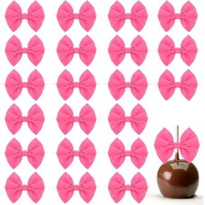 24pcs Pink Bows For Crafts Satin Hot Pink Ribbon Twist Tie Bows for Treat Bags 3.5" Small Pink Bows for Gift Wrapping Premade Mini Bows for Craft Cake Pop Candy Wedding Baby Shower Christmas Party
