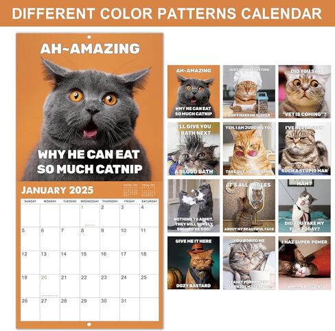 تقويم 2025 - تقويم حائط 2025، يناير 2025 - ديسمبر 2025، 12 بوصة × 24 بوصة (مفتوح)، هدية تقويم حائط 12 شهرًا، تقويم حائط 2025 مع كتل غير مسطرة، فتحة تعليق - قطة زرقاء in Kuwait