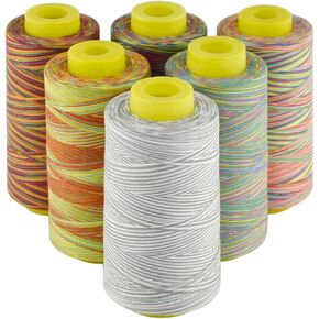 Rainbow Variegated Polyester Serger Sewing Thread, 6 Cones of 3000 Yards Each, All-Purpose for Sewing Machine, Overlock, Quilting, Hand Embroidery，40S/2