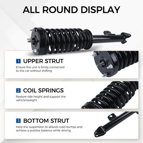 171372 Pair Rear Shock Absorber Struts fit for 2004-2008 Acura TL, 2003-2007 Honda Accord Excluding Hybrid Models Left & Right Side in Saudi Arabia