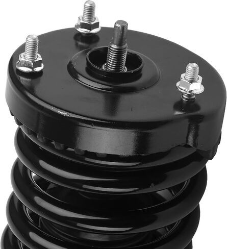 171372 Pair Rear Shock Absorber Struts fit for 2004-2008 Acura TL, 2003-2007 Honda Accord Excluding Hybrid Models Left & Right Side in Saudi Arabia