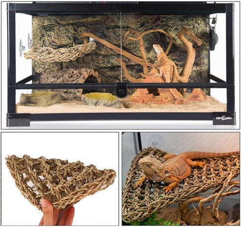 PIVBY Bearded Dragon Accessories Lizard Habitat Hammock Flexible Reptile Jungle Vines Leaves Decor with Suction Cups for Climbing, Chameleon, Lizards, Gecko, Snakes in Saudi Arabia