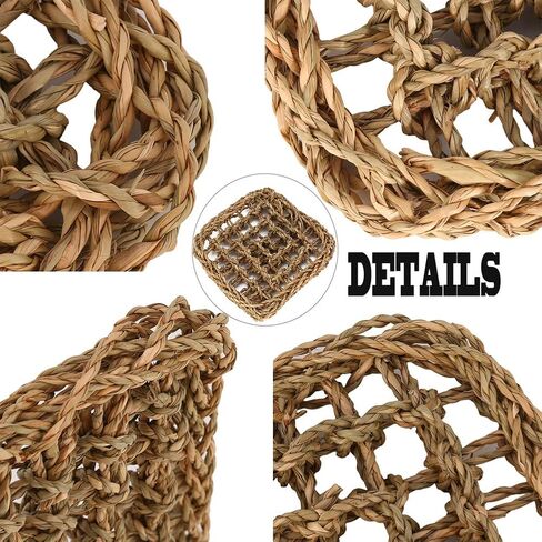 PIVBY Bearded Dragon Accessories Lizard Habitat Hammock Flexible Reptile Jungle Vines Leaves Decor with Suction Cups for Climbing, Chameleon, Lizards, Gecko, Snakes in Saudi Arabia