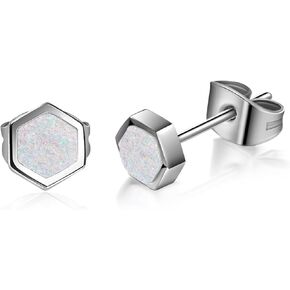 TGNEL Hexagon Druzy Earrings Titanium Earrings for Women Men, Fashion Crushed Crystal Geometric Stud Earrings for Sensitive Ears