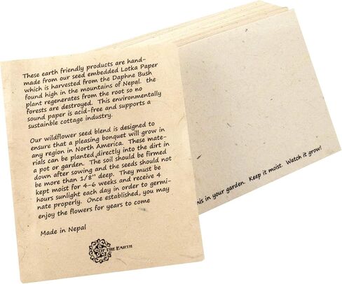 ورق ملاحظات معاد تدويره مصنوع يدويًا وقابل للزراعة، 100 ورقة لكل منها 6 × 4 بوصة (عبوتان) in Kuwait