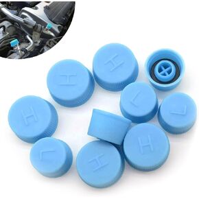 10 PCS Car Air Conditioner Valve Cover, 18mm x 9.5mm High Pressure + 15mm x 10.5mm Low Pressure Car Air Conditioner System Sealing Valve Core Cover, Fits for Most Asian Car Models (Blue)