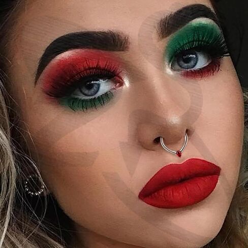 ZS 1 Piece Cubic Zircon Septum Rings Nose Ring, 16G Stainless Steel Nose Piercing Nose Jewelry Hinged Segment Ring Cartilage Earring Hoop Water Drop Daith Ear Piercing for Women Men in Kuwait