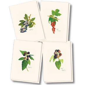 Earth Sky + Water - Berry Assortment Notecard Set - 8 Blank Cards with Envelopes (2 each of 4 styles)