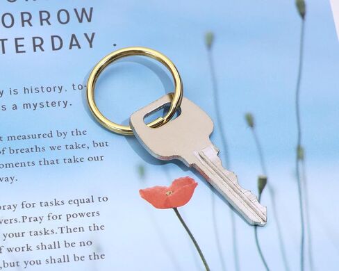 Tupalizy Brass Round Edge Split Key Rings for Home Office Men Women Car Keys Jewelry Keychain Ornaments Name Number Dog Tags Purse Bag Leather Hardware Craft Project, 6PCS (15mm) in Saudi Arabia