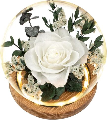 Preserved Flowers Roses Gifts for Women Mom, Fresh Flowers Forever Roses with Long-Lasting, Flowers for Delivery Prime Flower Bouquets with LED Lights, Birthday Gift, Mothers Day, Christmas in Saudi Arabia