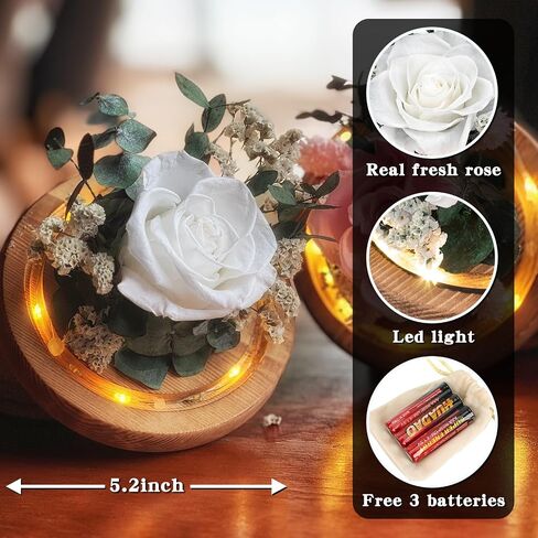 Preserved Flowers Roses Gifts for Women Mom, Fresh Flowers Forever Roses with Long-Lasting, Flowers for Delivery Prime Flower Bouquets with LED Lights, Birthday Gift, Mothers Day, Christmas in Saudi Arabia
