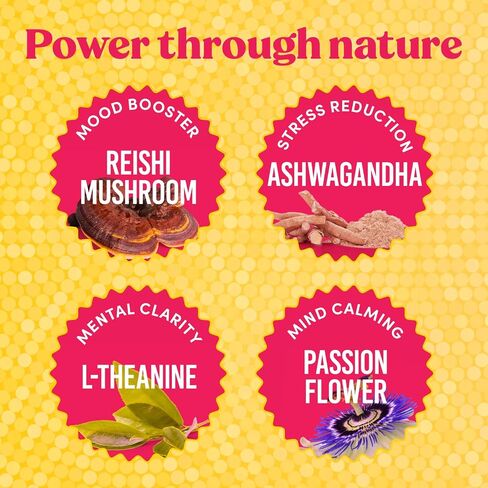 Super Chill - Sleep & Relaxation Supplement, Stress Relief, Healthy Cortisol, Reishi Mushroom Extract, Ashwagandha, L-Theanine, Passion Flower - 63 Count in Saudi Arabia