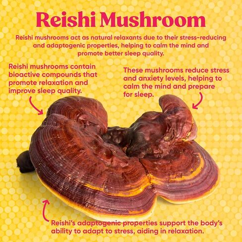 Super Chill - Sleep & Relaxation Supplement, Stress Relief, Healthy Cortisol, Reishi Mushroom Extract, Ashwagandha, L-Theanine, Passion Flower - 63 Count in Saudi Arabia