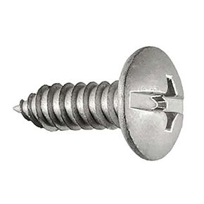 Premium License Plate Screws - Duo Drive Truss Head Dacromet (100 Pack)