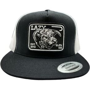 Lazy J Ranch Wear Baseball Cap Western Cowboy Baseball Cap White & White 4" Tejas Patch Cap