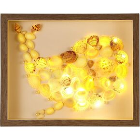 Seashell Wooden Shadow Box as, Frame Display Box with Fairy Light and Pearl, DIY Photo Frame Night Light Kit, Sleeping Light, Decorative Accent (Butterfly)