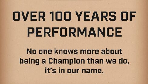 Champion Copper Plus Small Engine 863 Spark Plug (Carton of 1) - RCJ8Y in Saudi Arabia