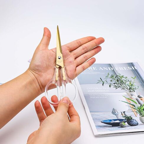 Acrylic Scissors Rainbow Scissors 6.5" Clear Scissors Metal Blades Office Cutting Shears for Craft Supplies Desk Accessories in Kuwait