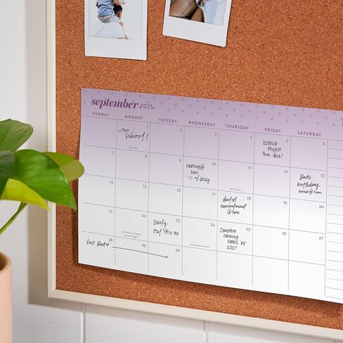 Erin Condren 2025 Monthly Calendar Sticky Notes | 12 Calendar Months with 3M Adhesive for Portable Planning | For Adding a Calendar Function to Any Notebook, Journal, Desk or Refrigerator in Saudi Arabia