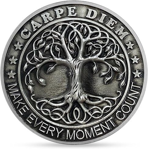Memento Mori Coin 3D Skull Challenge Coin Stoic Coin Reminder Token for Daily Stoic in Saudi Arabia