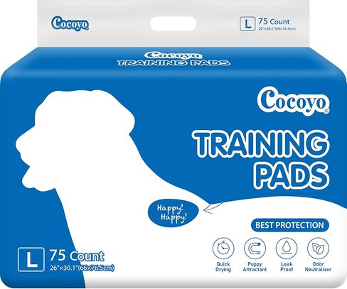 COCOYO Best Value Training Pads, 30"X36", XXL - 80 Count,White in Kuwait