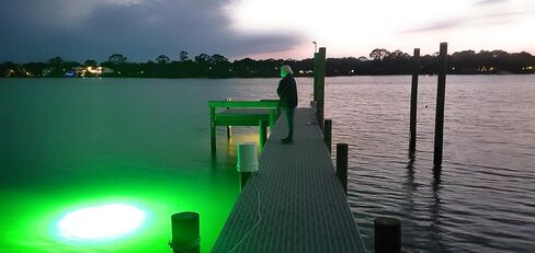 Green Blob Outdoors مصباح صيد جديد تحت الماء LED للأحواض 7500 أو 15000 لومن مع سلك طاقة 110 فولت تيار متردد 30 قدمًا أو 50 قدمًا، كرابي، سنوك، جاذب الأسماك، صنع في تكساس in Kuwait