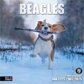 RED EMBER Boston Terriers 2025 Wall Calendar 12 Month | 12" x 24" Open | Thick & Sturdy Paper | Giftable | Calendar 2025