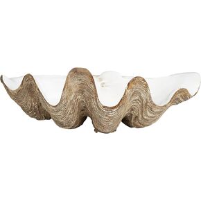 Deco 79 Polystone Shell Decorative Decorative Bowl Decorative Container, Decorative Keepsake Box 20" x 11" x 8", White