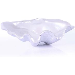 White and gold shell bowl decorative tray, beach style room decor, shell decorative bowls seaside home decor, edgy room coffee living room console entry decor decorative decorative storage bowls.